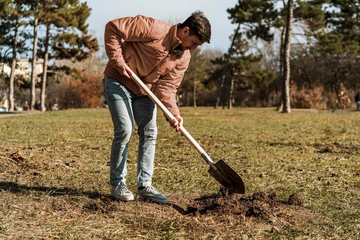 Person bending over while using a shovel in grass